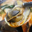 금향해물짬뽕 이미지