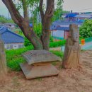 면천초교 이미지