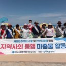 모항해수욕장 이미지