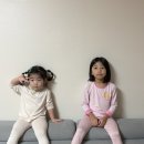 4살 유아책 고민한다면 그레이트북스 보여주세요. 36개월 아기 책 추천해요