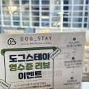 도그스테이 이미지