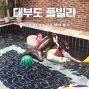 끌레르 온수수영장펜션 | 대부도 풀빌라 더블레싱23 가족 펜션 온수수영장 후기