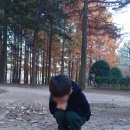 [강원_남이섬] 강원 춘천 아이와 함께 가족 나들이/산책으로 좋은 곳 추천 (주말 방문 후기)
