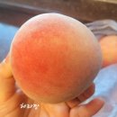 바를추한방병원 이미지