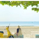 자유 - 남구 남중로74번길 18 | 자유