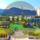 소요산역 화장실 | 동두천 디저트 카페 소요산역 근처 뷰 맛집 별앤숲 카페