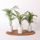 에이지지스토어 이미지