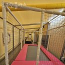 대부도펜션플러스 이미지