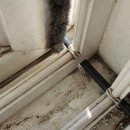 300006 | 부천 LG헬로비전 내돈내산 빡침 솔직 후기