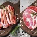 산타페캠프닉(매미성 본점) 이미지