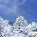 하늘새카페 이미지