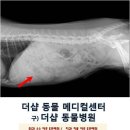 더샵동물메디컬센터 이미지