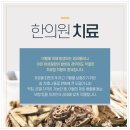 경희바른정한의원 이미지