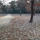 경춘선숲길.화랑대역공원 이미지