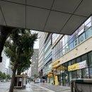 [맹그로브] 서울 가성비 1인 힐링 숙소 추천 / 워케이션 / 가격,후기,꿀팁