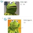 잇터 이미지