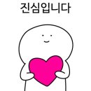 더진심플라워