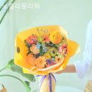 노벨라플라워