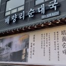 배양순대