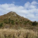 정기코스 이미지