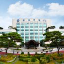 도안동로 이미지