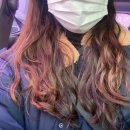 예쁨담다