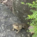 노림초등학교 | [공지] [Brisbane Ep.2]이스터 주간: Gold Coast 여행가다