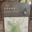 용천(안산) 이미지