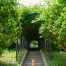 창대카서비스 이미지