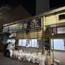 코티스 더 브릿지 이미지