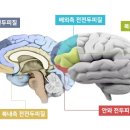 고신대학교복음병원 - 6835 | 고신대학교복음병원