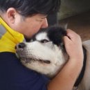 개ST하우스 이미지