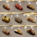 [🍣]한남동 미쉐린 쉐프의 오마카세, &#39;스이세 한남&#39; 디너 후기