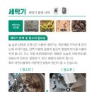 365토탈케어 이미지
