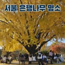 난지도 관광지 | 서울 은행나무 명소 단풍 구경 가기 좋은 곳 모음 국립고궁박물관 주차