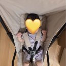 트래블에이블