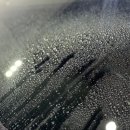 카카오글라스코팅 이미지