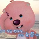 허니콤케이크319 네이버블로그