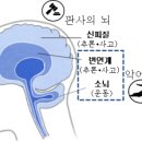 조이스터디카페 이미지