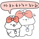 하이롤 이미지