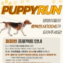 퍼피런 이미지
