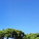 카페인하원 이미지