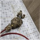 고객응대 가능한 다정설비하수구막힘변기역류싱크대막힘뚫는곳정화조배관뚫음 노대동 광주남구싱크대막힘