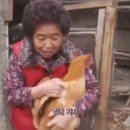 베이커리샤워