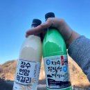 장수 번암막걸리 이미지