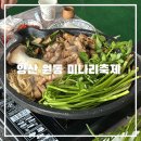 [국내여행 양산] 원동 미나리 축제 미나리 삼겹살 맛집 5번집 주소, 내돈내산