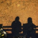 광장33호 이미지