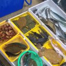 주문진좌판풍물시장 이미지