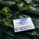 김종태농장 이미지