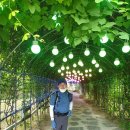 독산봉수지 Daum카페
